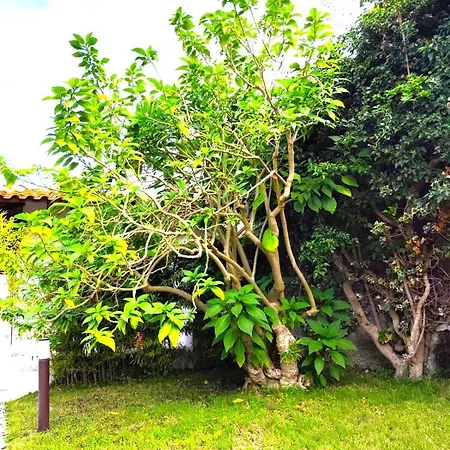 Il Poggio Hébergement de vacances